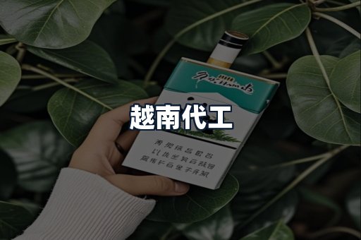 越南代工